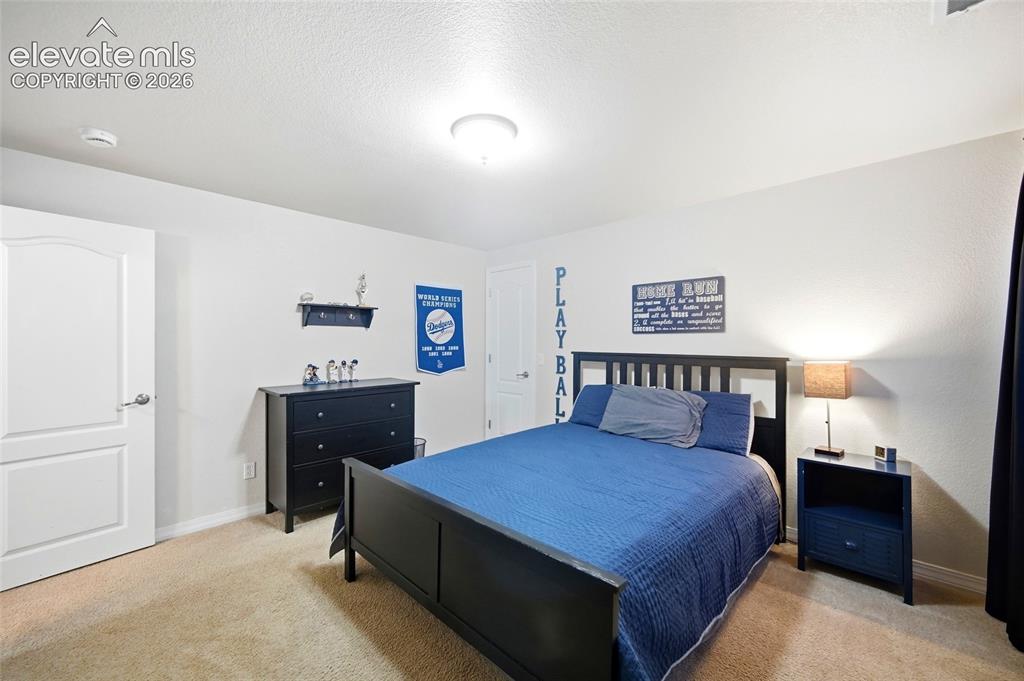 Image 29 of 50: Recessed lighting and a flush mount ceiling fixture illuminate this carpete
