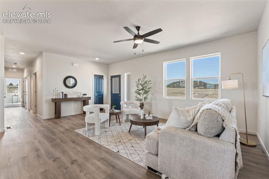 Image 11 of 49: Living Room