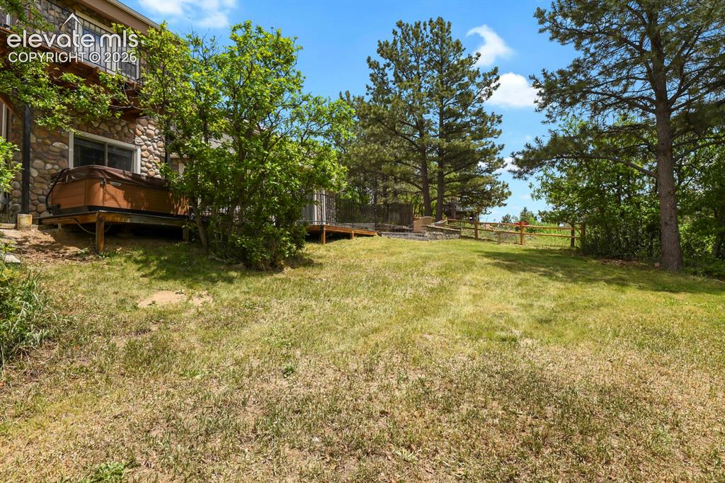 Image 38 of 49: Peaceful lawn framed by mature trees and natural landscaping.