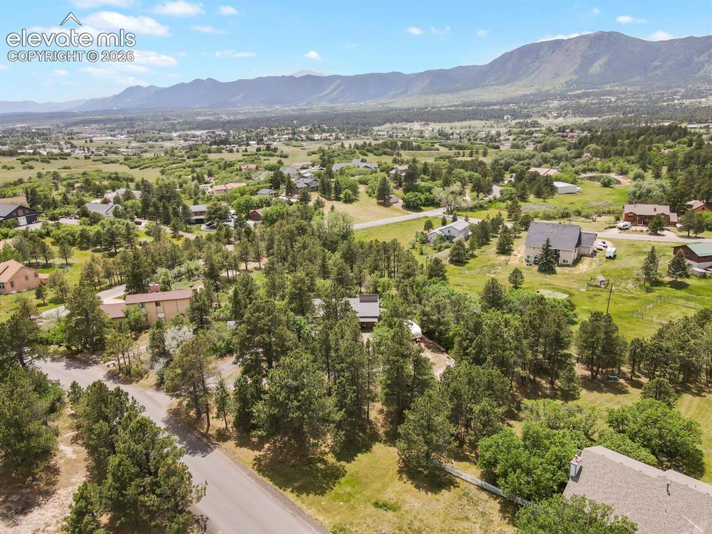 Image 45 of 49: Surrounded by towering pines with exceptional privacy and character.