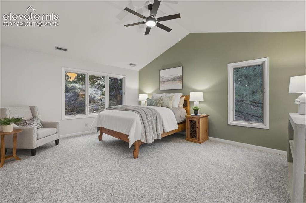 Image 15 of 48: Vaulted ceiling with an integrated ceiling fan, light gray carpeting, multi