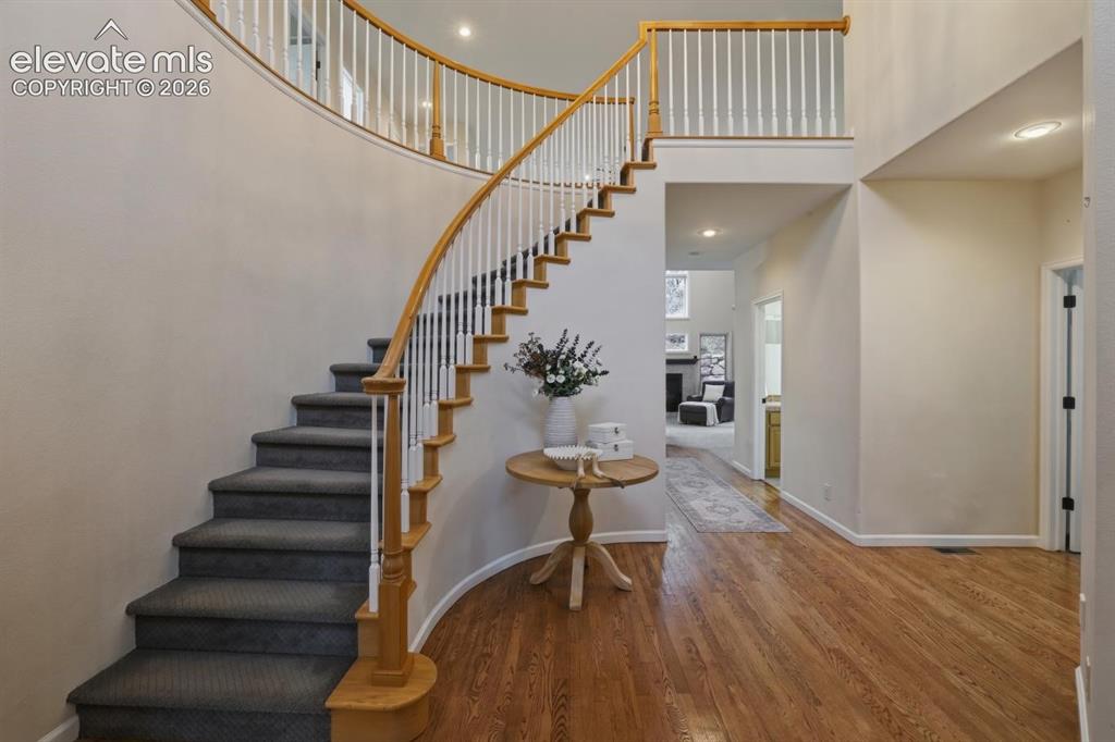 Image 2 of 48: Grand curved staircase with wood-finish handrail and white balusters