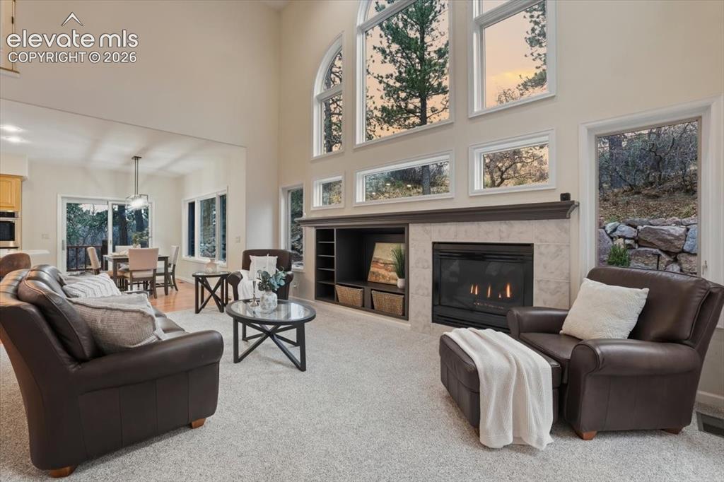 Image 3 of 48: Spacious living area featuring a high vaulted ceiling, tall windows, a buil