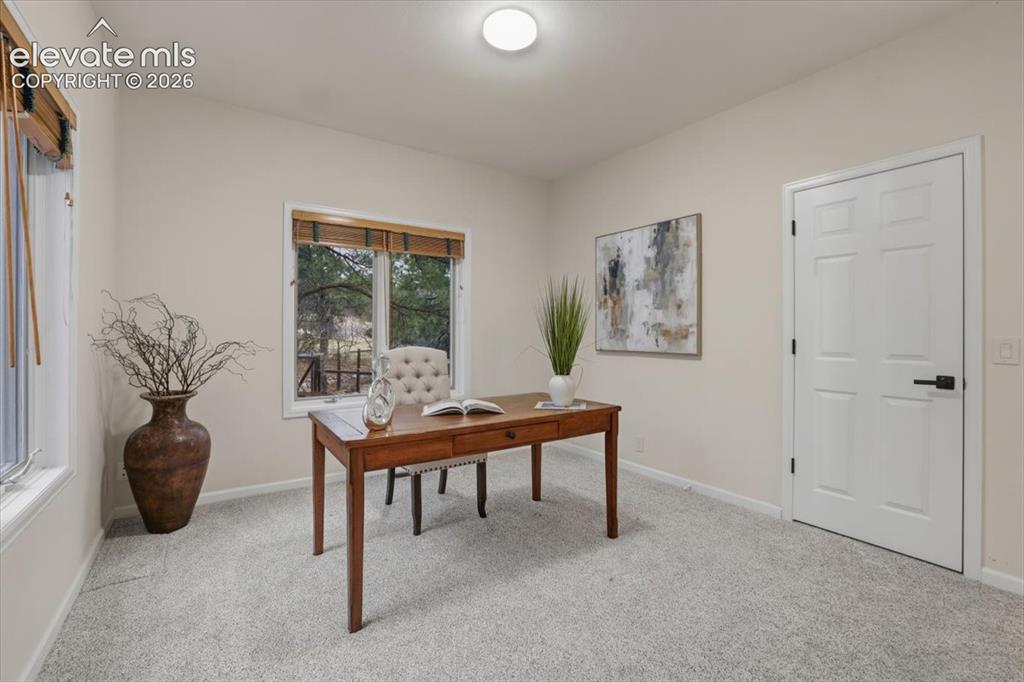 Image 42 of 48: Carpeted room with multiple windows providing natural light
