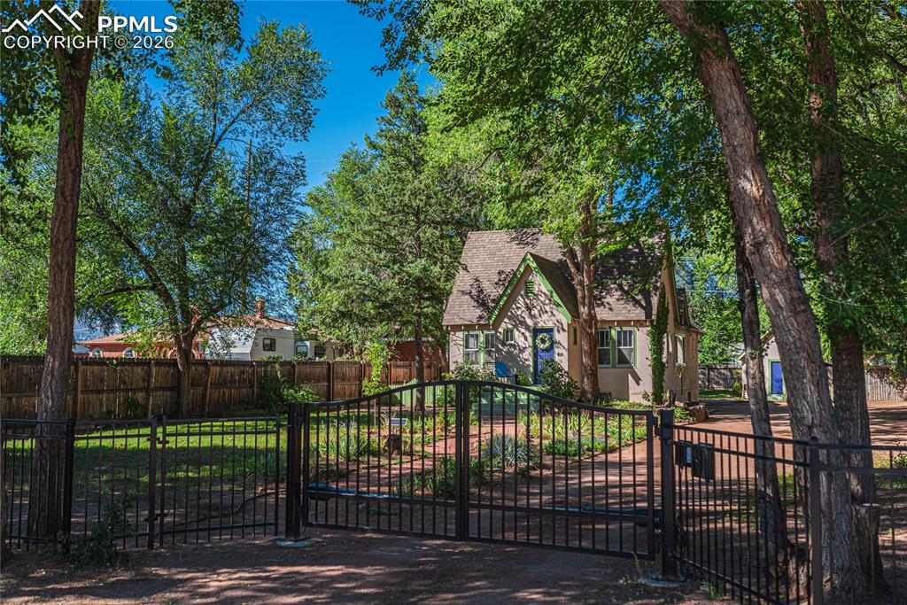 Caption: Summer photo