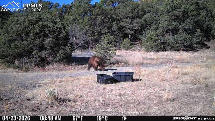Image 20 of 50: Aerial View