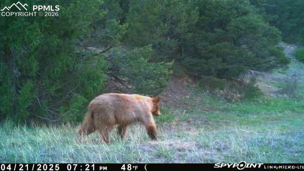 Image 21 of 50: Other