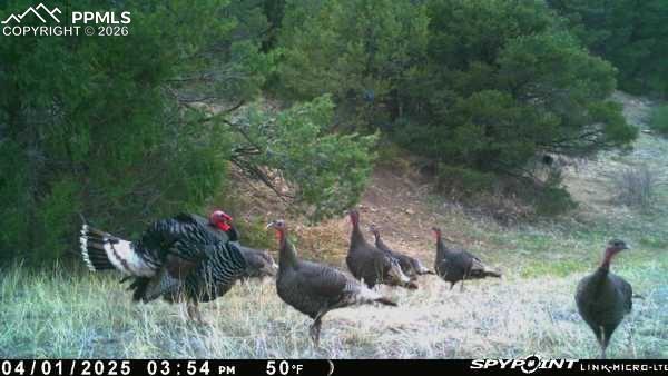 Image 22 of 50: Other