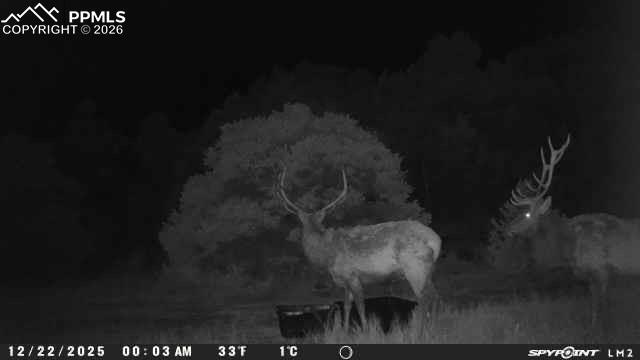 Image 23 of 50: Other