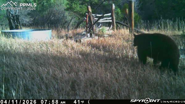 Image 30 of 50: Other