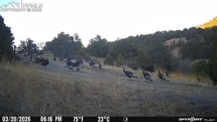 Image 31 of 50: Other