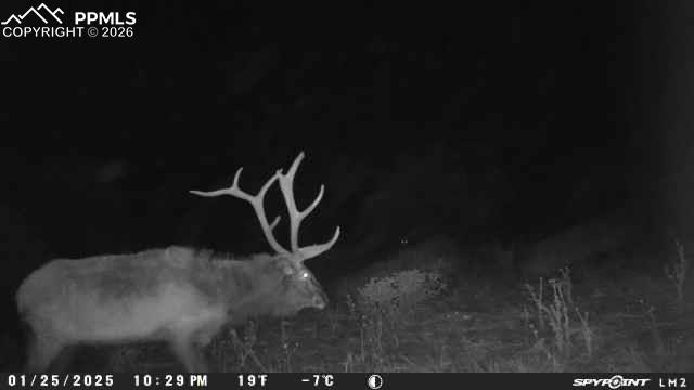 Image 32 of 50: Other