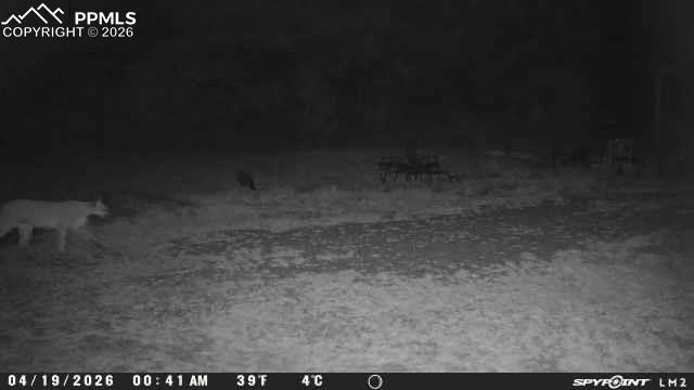 Image 33 of 50: Other