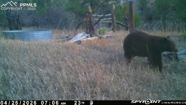 Image 47 of 50: Other