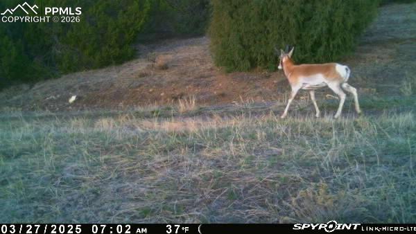 Image 48 of 50: Other