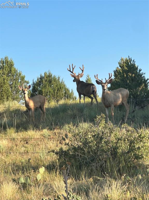 Image 49 of 50: Other