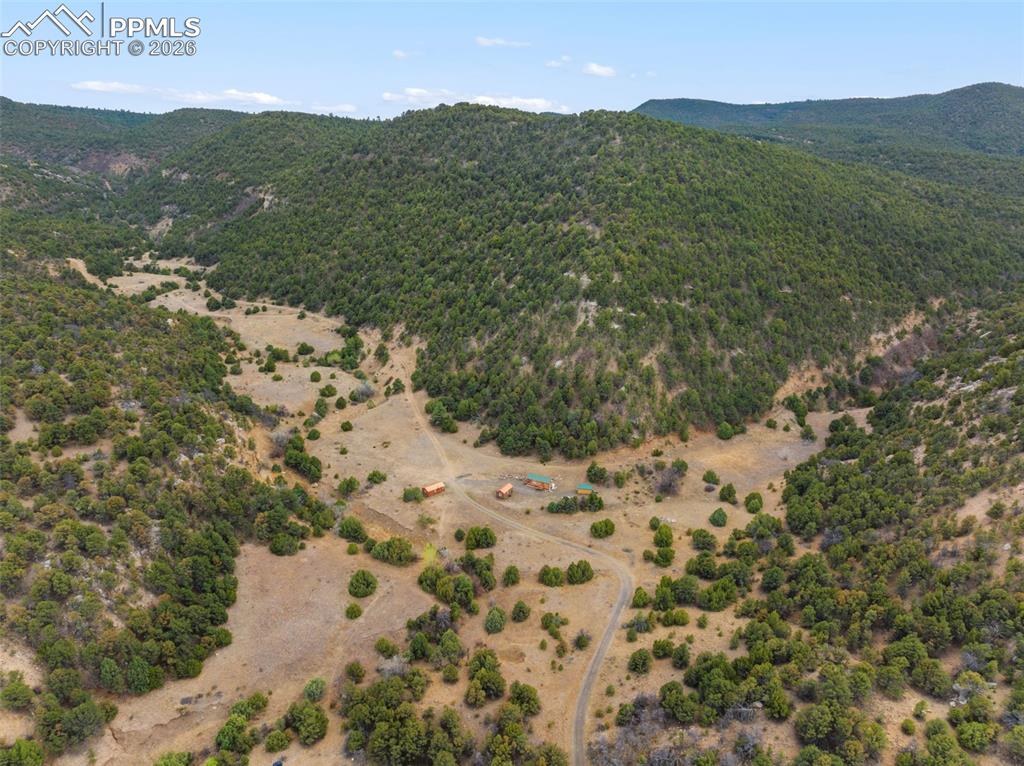 Image 6 of 50: Gorgeous, private, secluded land.