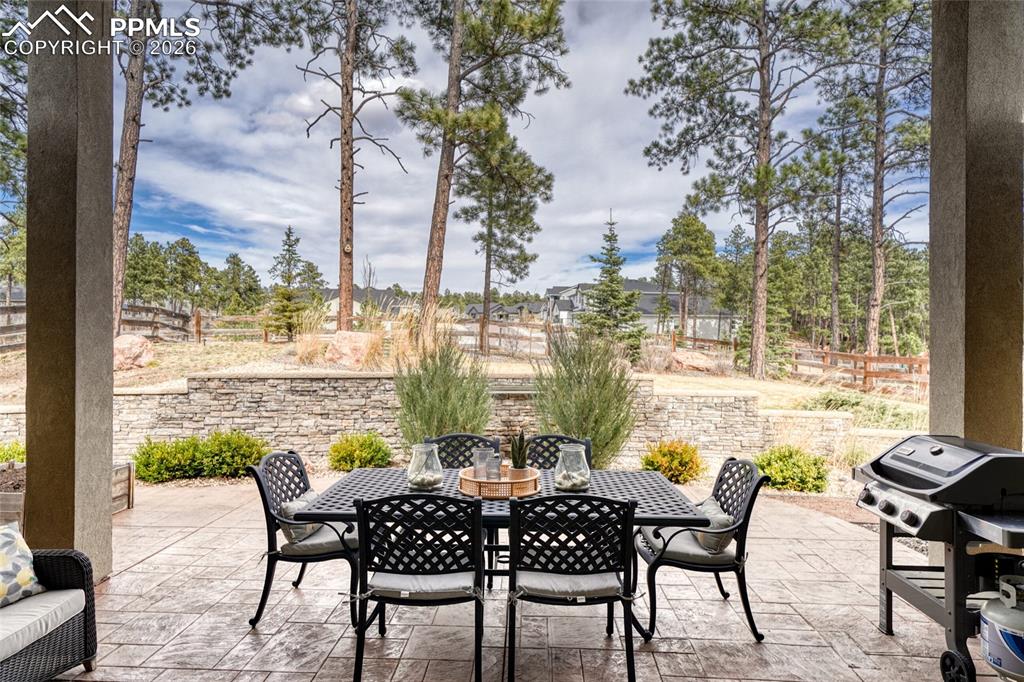 Image 13 of 50: Patio