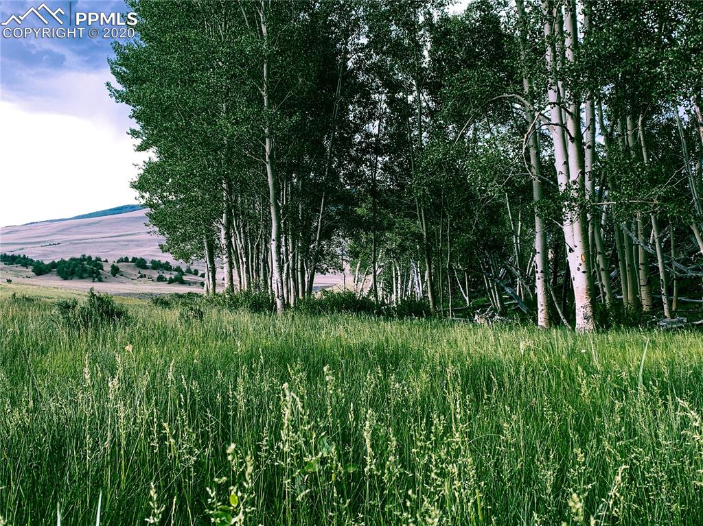 Listing 5363419, Image 20 of 42