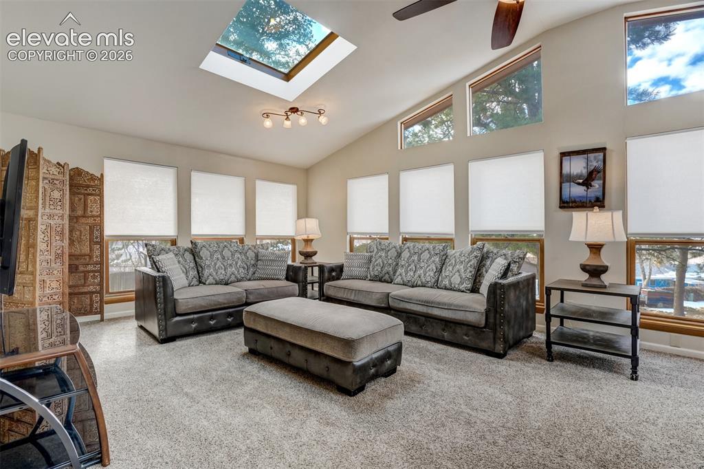 Image 17 of 50: Vaulted ceiling with a skylight, multiple windows, and a ceiling fan