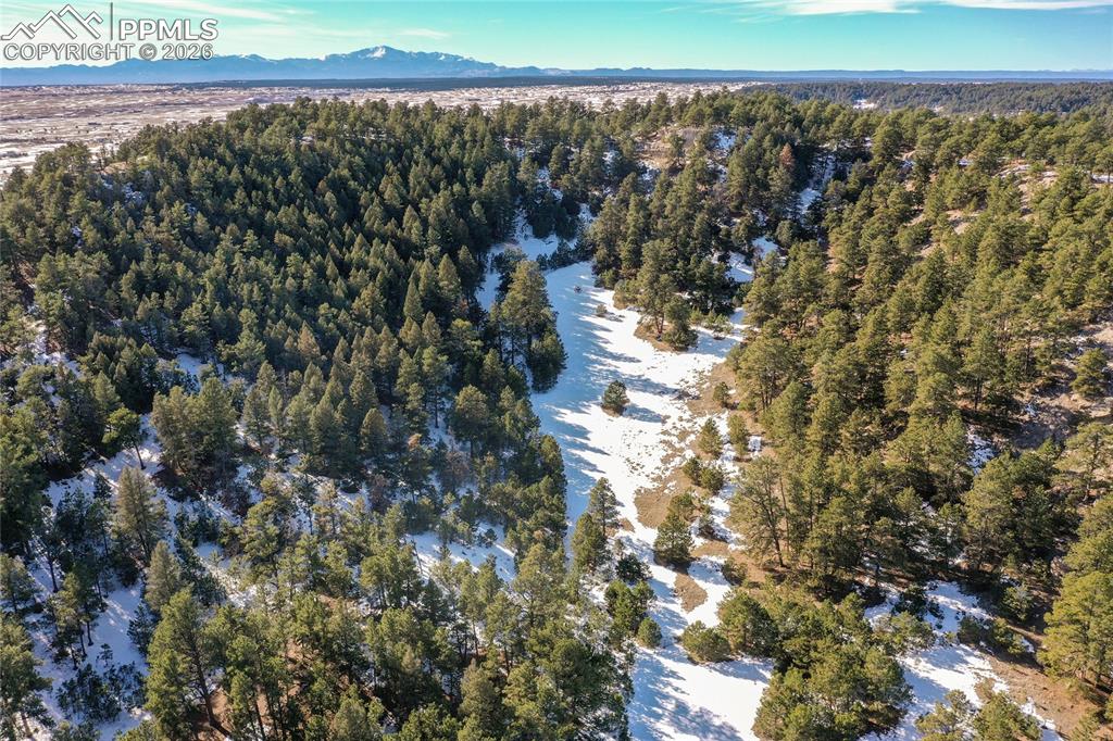 Image 10 of 21: Aerial View