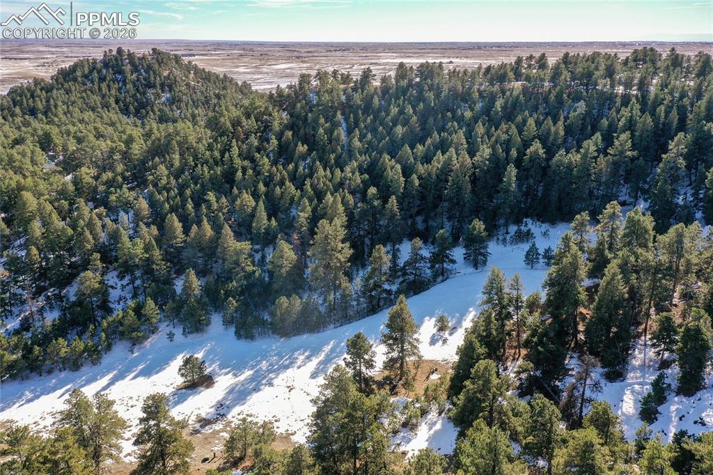 Image 6 of 21: Aerial View
