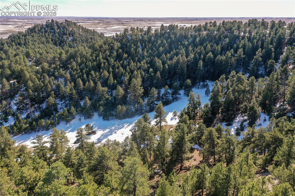 Image 7 of 21: Aerial View