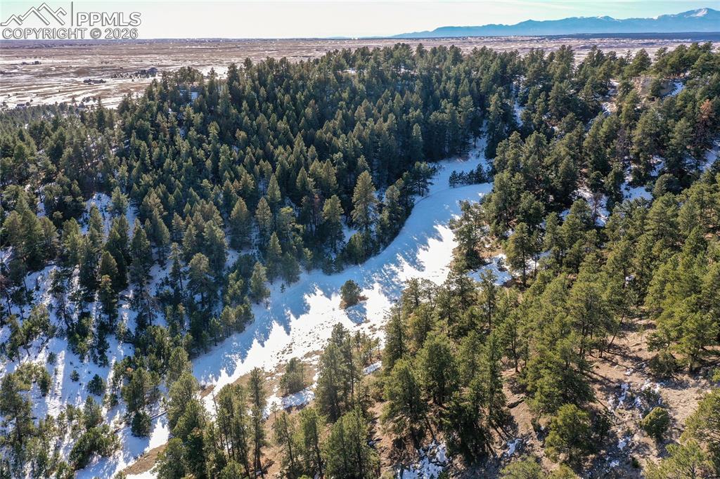 Image 8 of 21: Aerial View