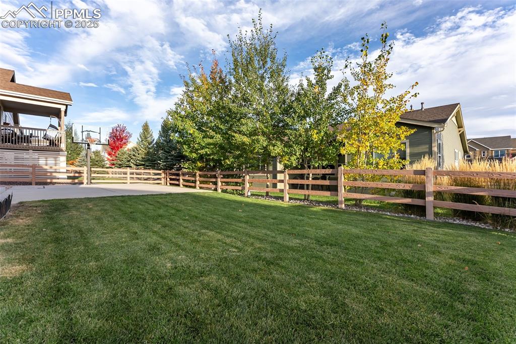 Image 41 of 50: Yard