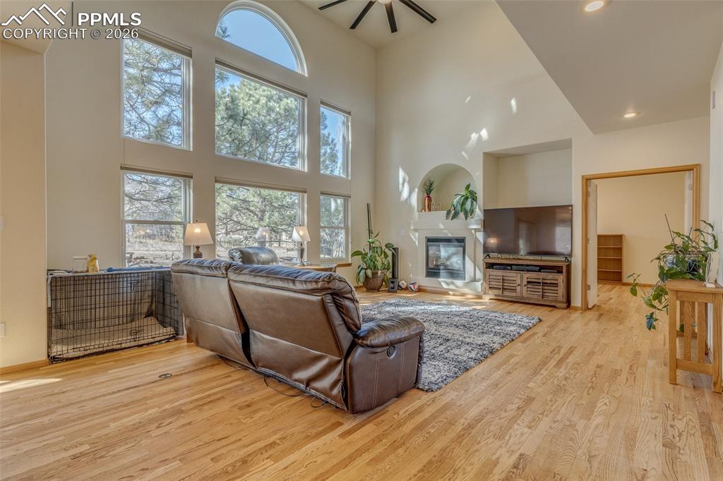 Image 17 of 48: Living room with a glass covered fireplace, light wood finished floors, a h