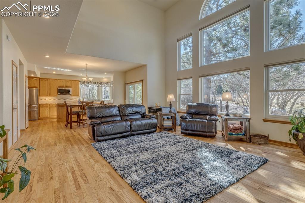Image 18 of 48: Living area with light wood finished floors and suspended lighting