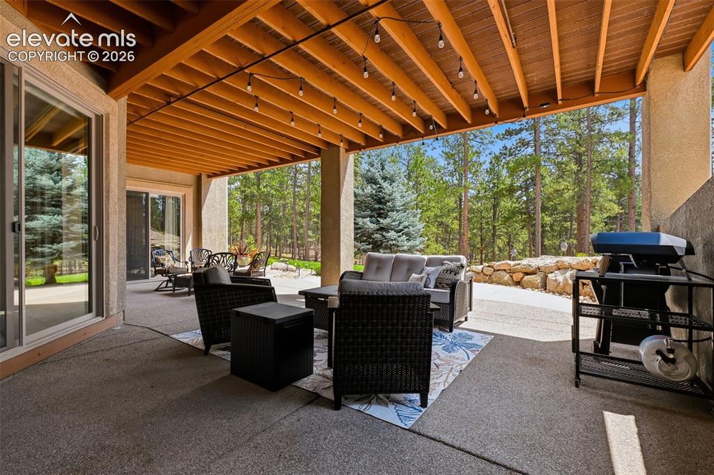 Image 33 of 50: Basement patio with space for seating and grilling!