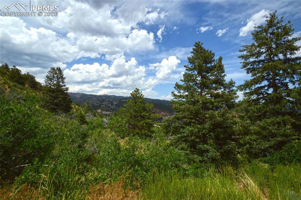 Image 11 of 25: View