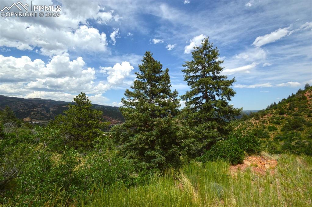 Image 12 of 25: View