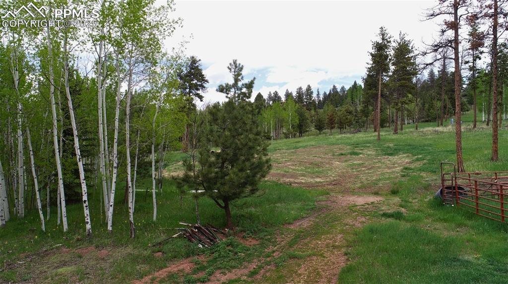 Image 30 of 42: Yard