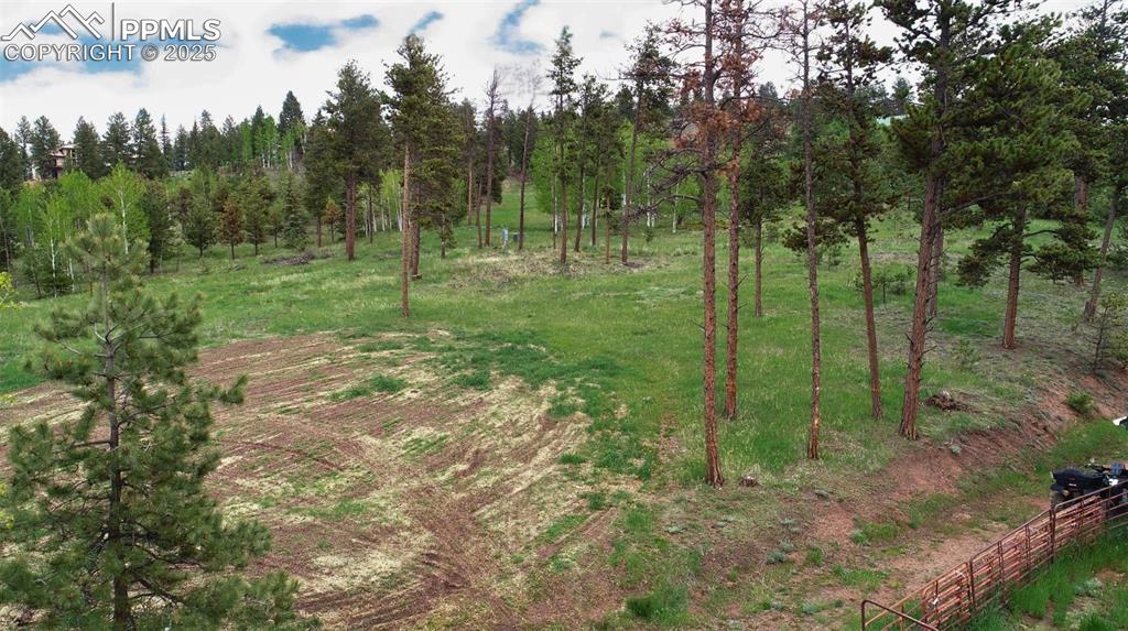 Image 31 of 42: Other