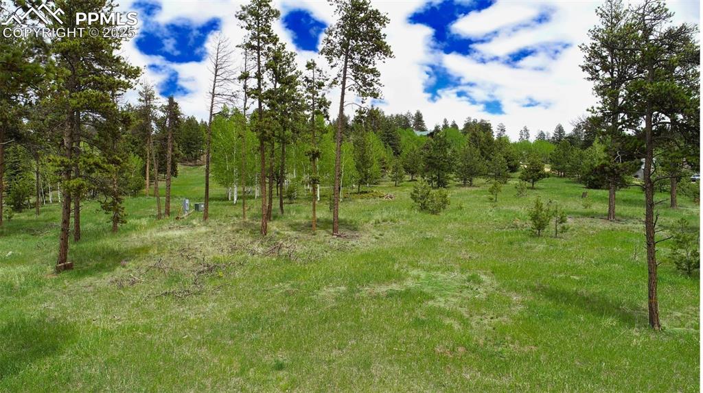 Image 32 of 42: Other