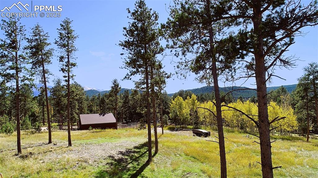 Image 36 of 42: View