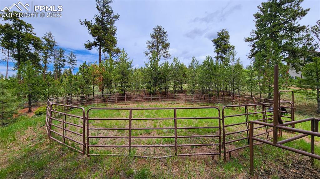 Image 8 of 29: Yard