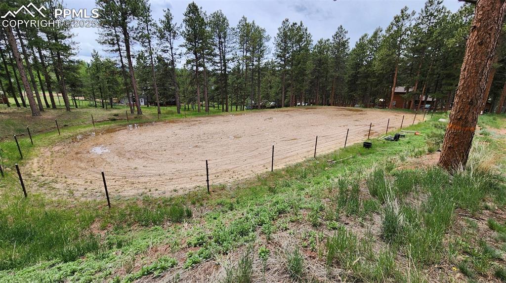 Image 9 of 29: Yard