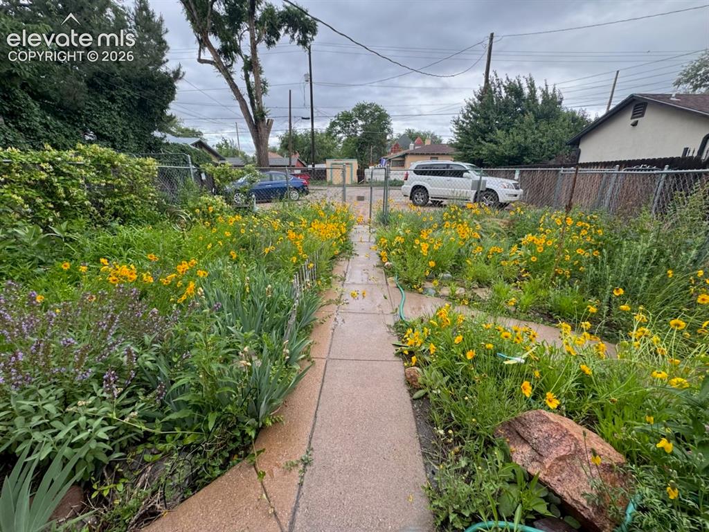 Image 27 of 27: Paved pathway flanked by flowering plants and established trees