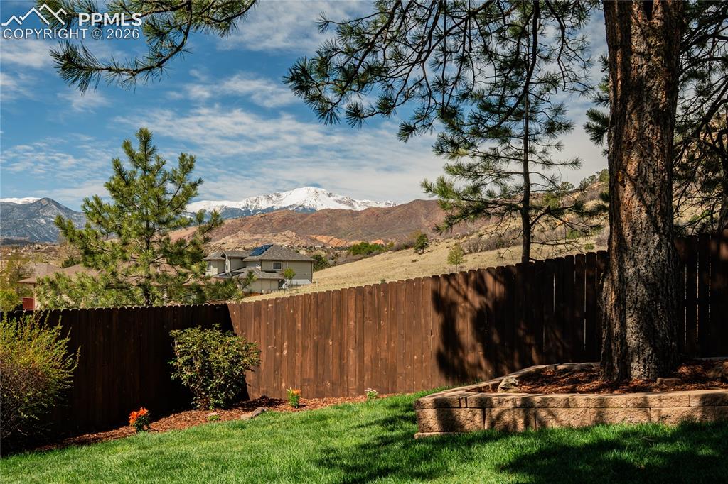 Image 45 of 48: Yard