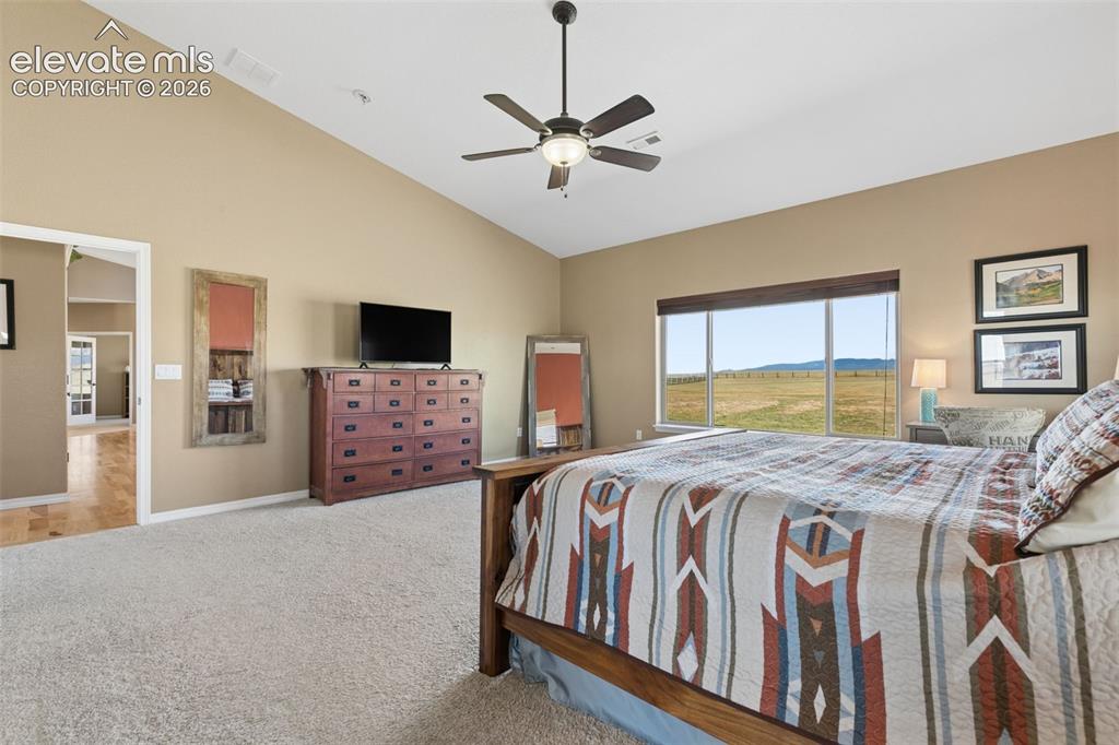 Image 19 of 48: Tons of Natural Light!