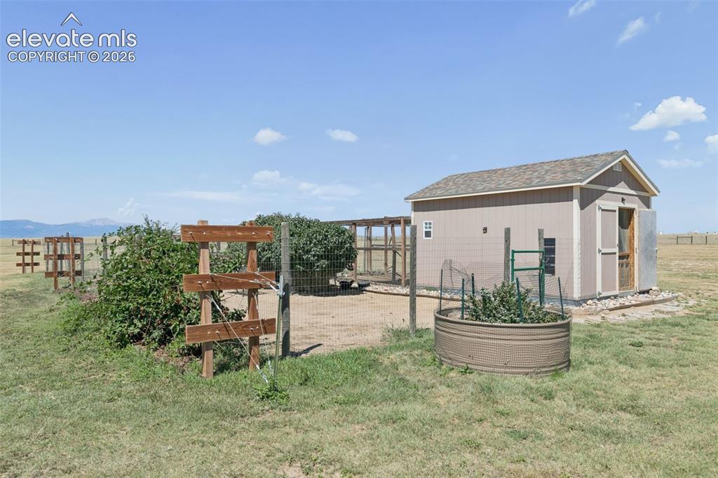 Image 37 of 48: Established Collection of Fruit Trees and Black Berry Bushes!