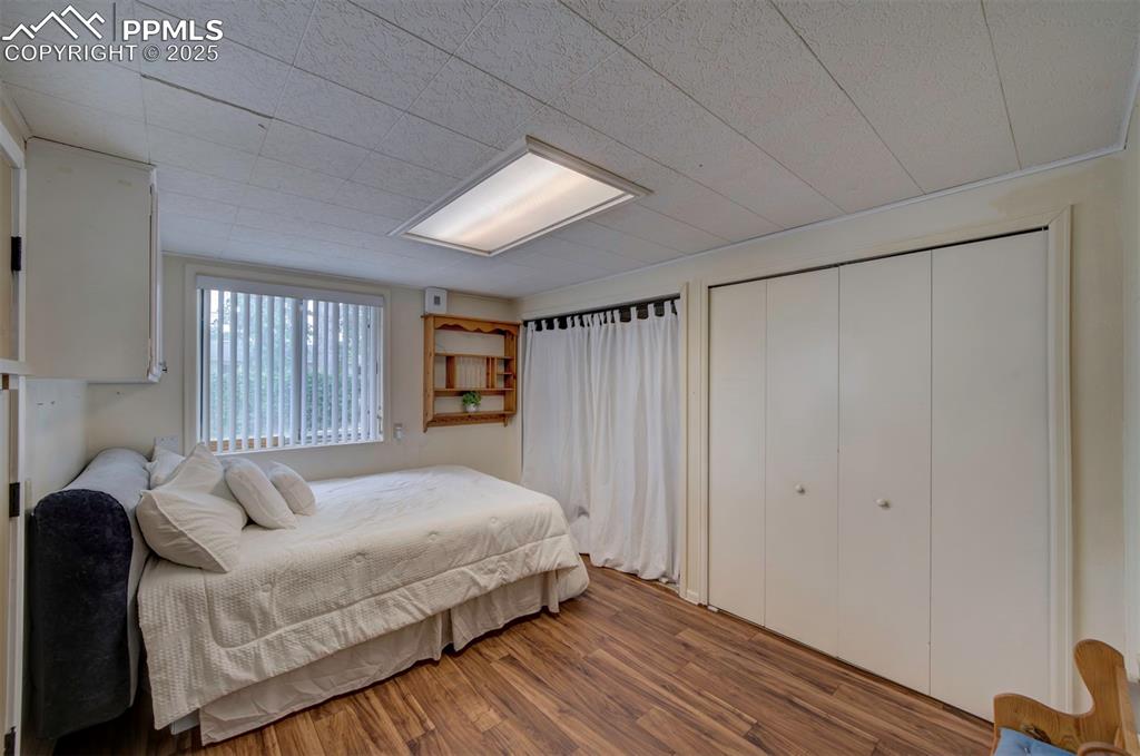 Image 25 of 32: Bedroom featuring wood style floors, walk out and a double closet