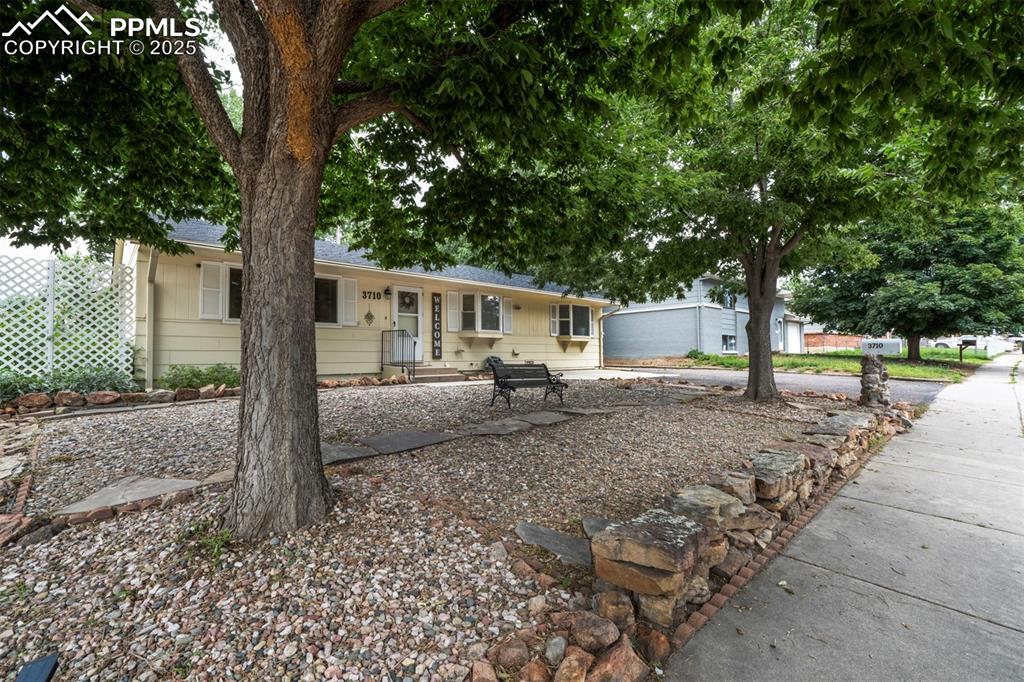 Image 3 of 32: View of front of house featuring park like setting and mature trees