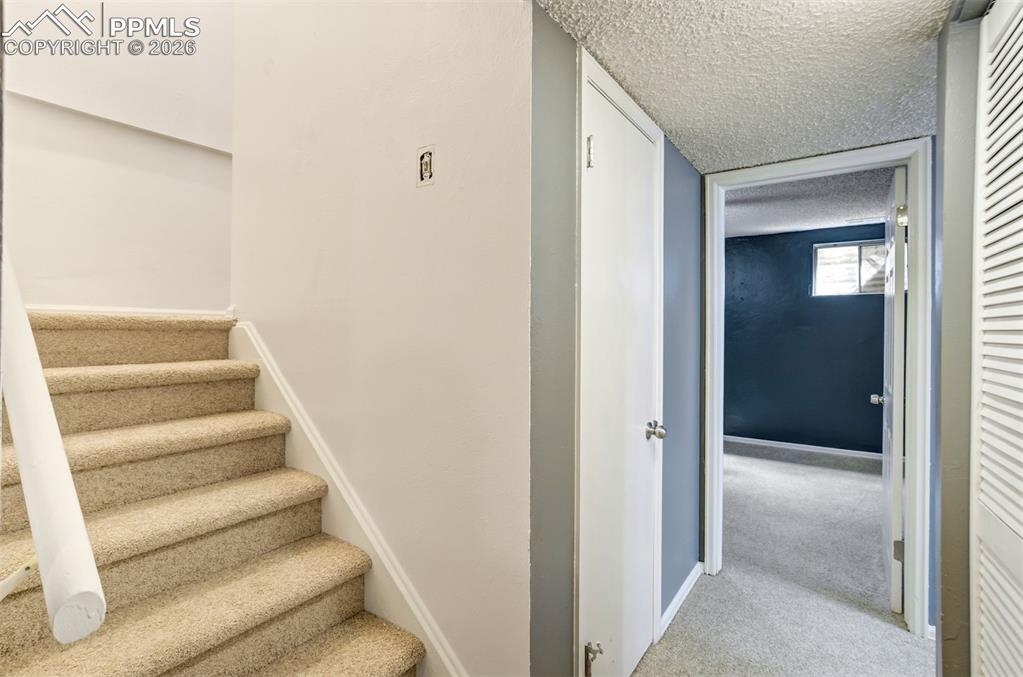 Image 27 of 49: Carpeted staircase with white handrail and trim
