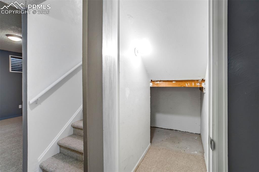 Image 35 of 49: Carpeted stairs with a white handrail, leading to a room featuring a rectan