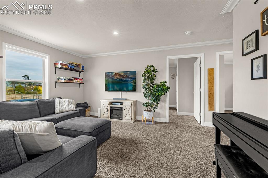 Image 13 of 37: Living Room