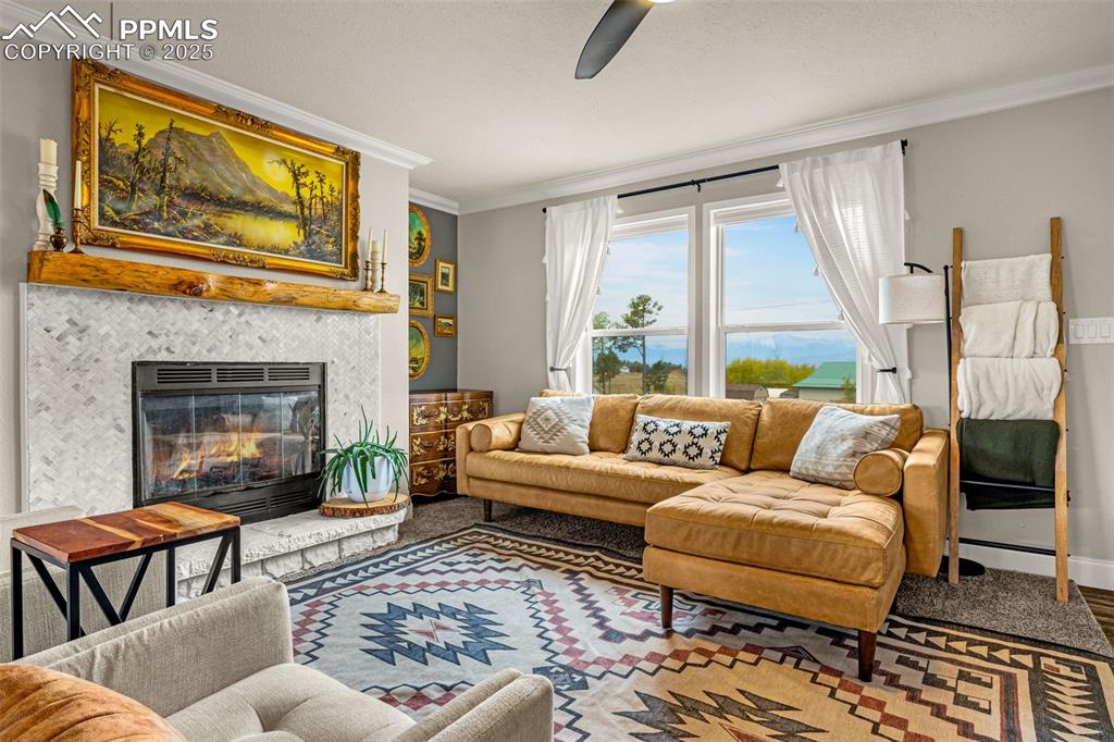 Image 3 of 37: Living Room